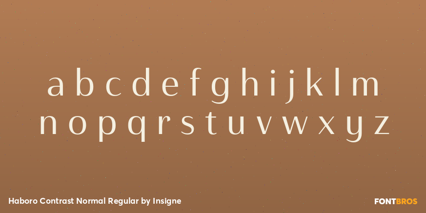 Haboro Contrast Normal Regular Font Poster #3