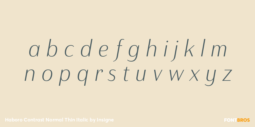 Haboro Contrast Normal Thin Italic Font Poster #3