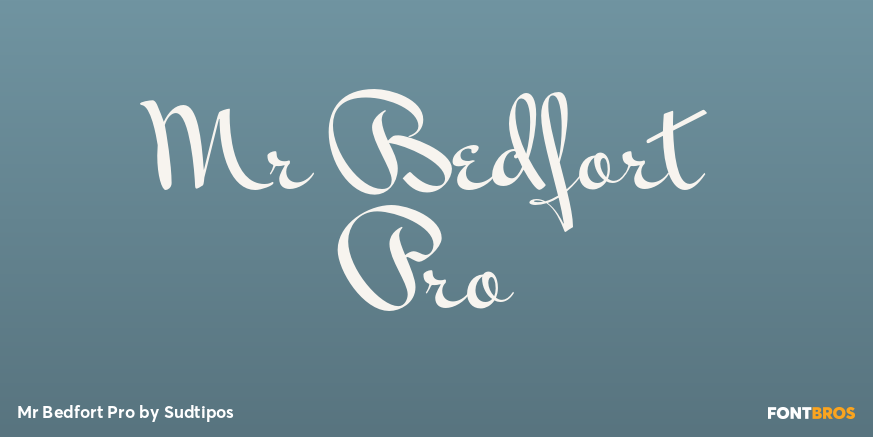 Mr Bedfort Pro Poster