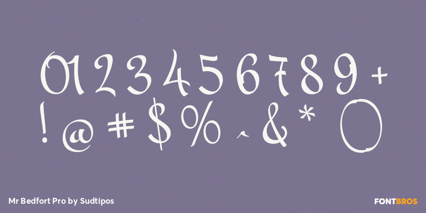 Mr Bedfort Pro Font Poster #4