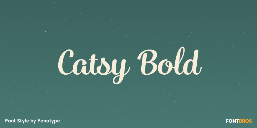 Catsy Bold Font Poster #1