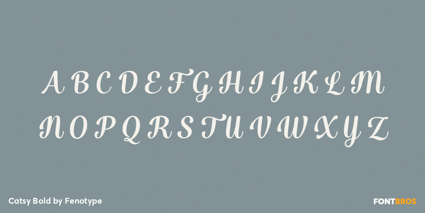 Catsy Bold Font Poster #1