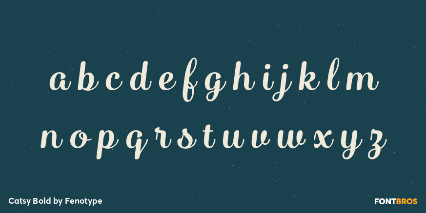 Catsy Bold Font Poster #1