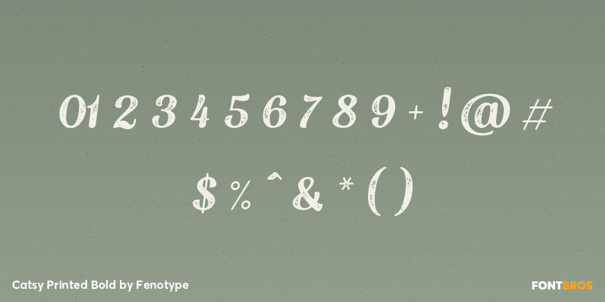 Catsy Printed Bold Font Poster #1