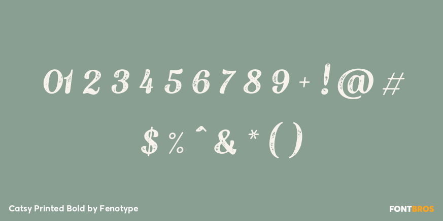 Catsy Printed Bold Font Poster #4