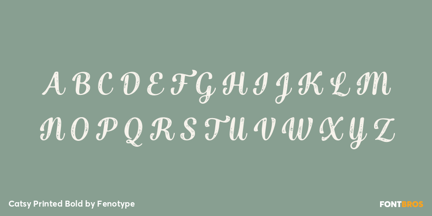 Catsy Printed Bold Font Poster #1