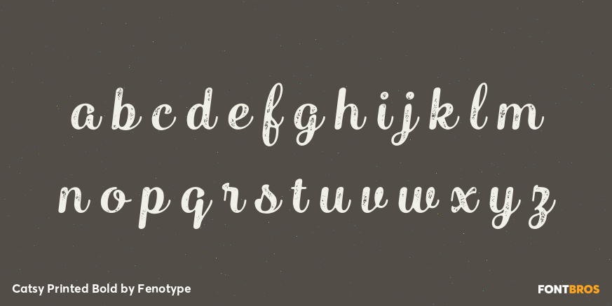 Catsy Printed Bold Font Poster #1