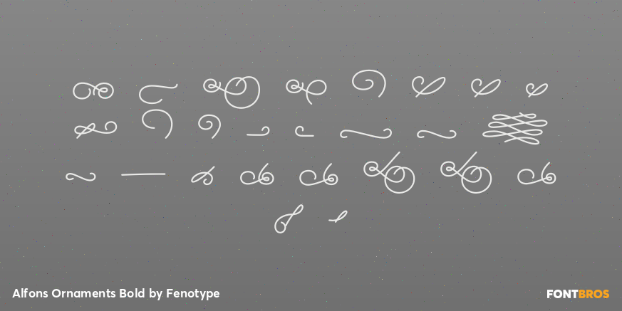 Alfons Ornaments Bold Font Poster #2