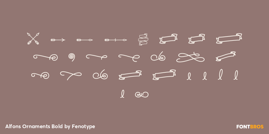 Alfons Ornaments Bold Font Poster #3