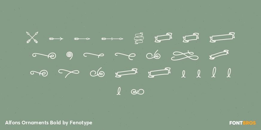 Alfons Ornaments Bold Font Poster #1