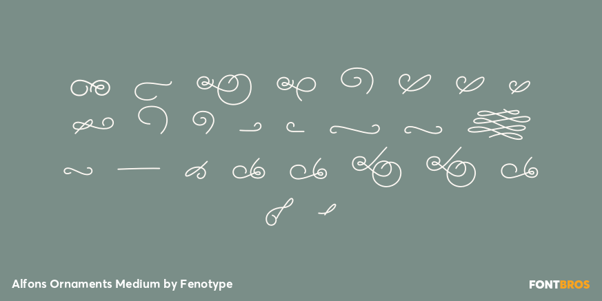 Alfons Ornaments Medium Font Poster #2