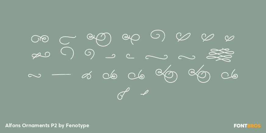 Alfons Ornaments P2 Font Poster #1