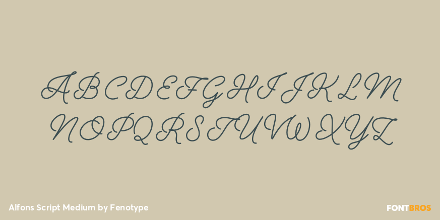Alfons Script Medium Font Poster #2