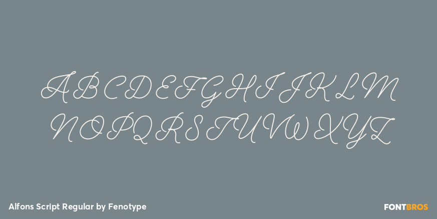 Alfons Script Regular Font Poster #2