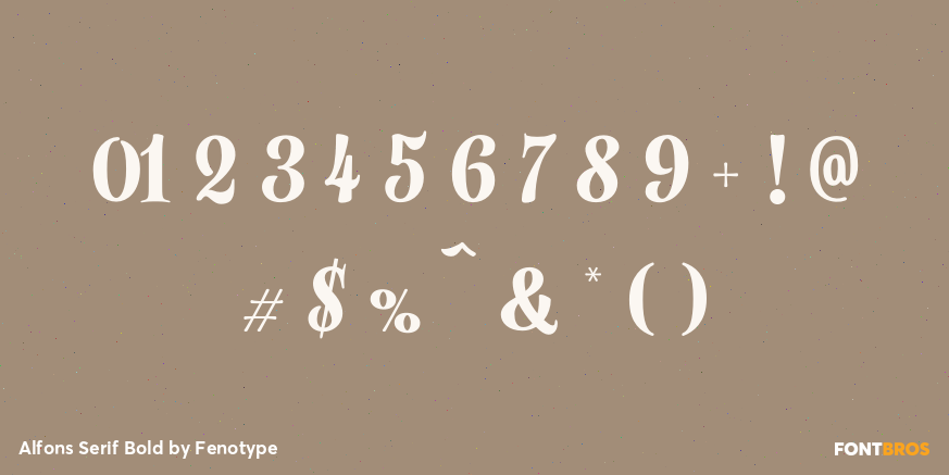 Alfons Serif Bold Font Poster #1