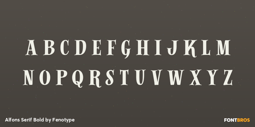 Alfons Serif Bold Font Poster #1