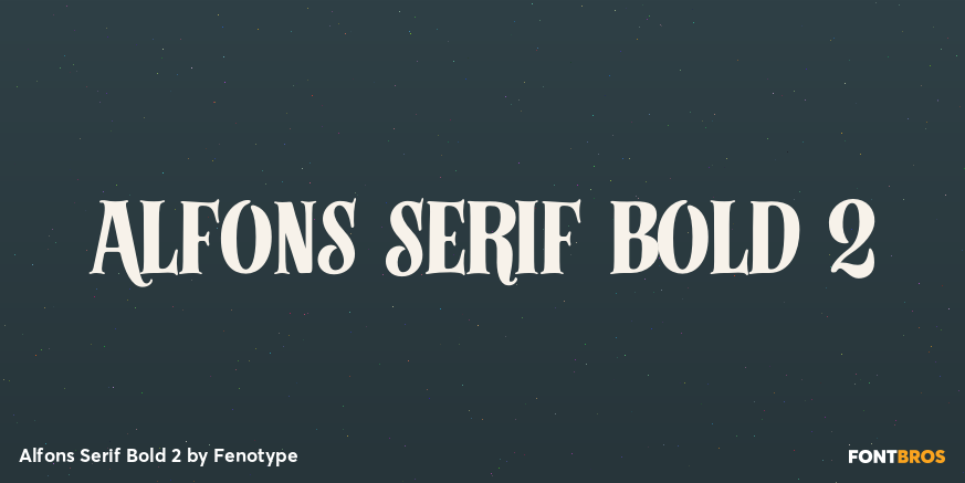 Alfons Serif Bold 2 Poster