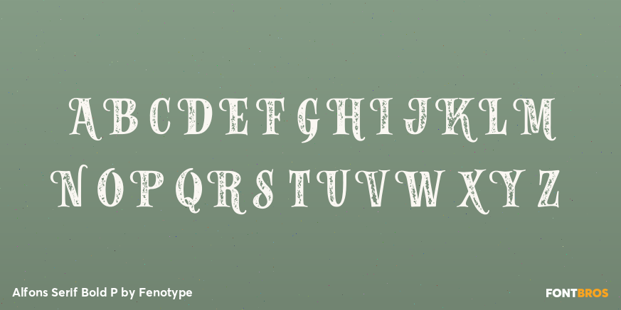 Alfons Serif Bold P Font Poster #1