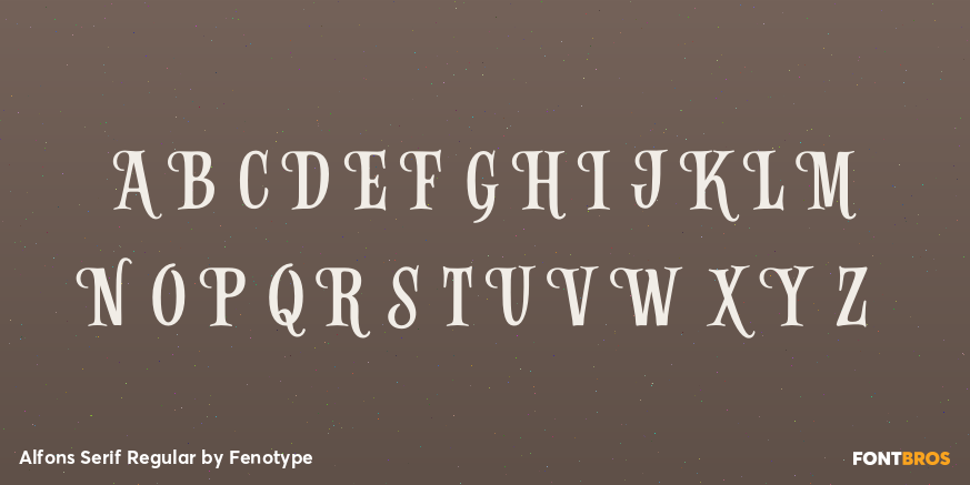 Alfons Serif Regular Font Poster #2