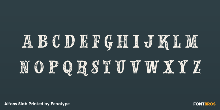 Alfons Slab Printed Font Poster #3
