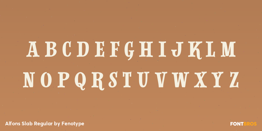Alfons Slab Regular Font Poster #3