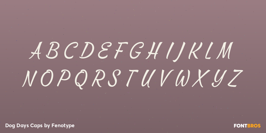 Dog Days Caps Font Poster #3