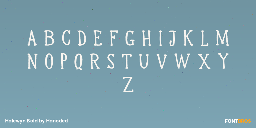 Halewyn Bold Font Poster #2