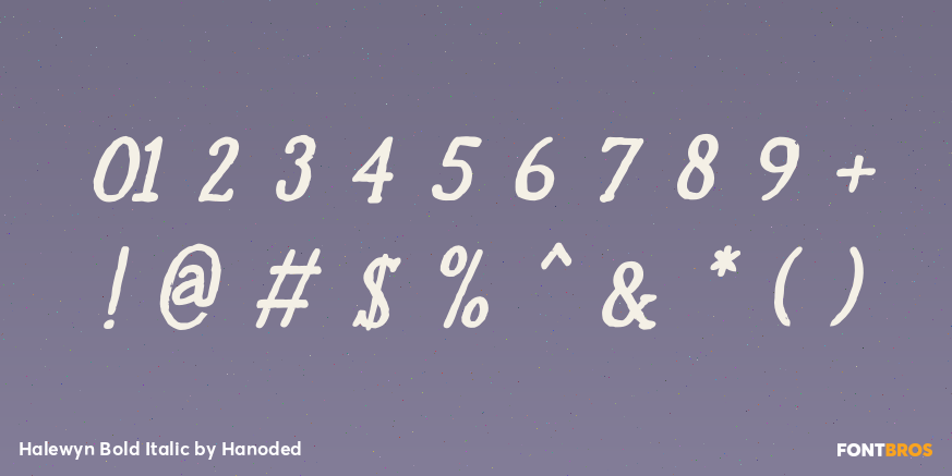 Halewyn Bold Italic Font Poster #1