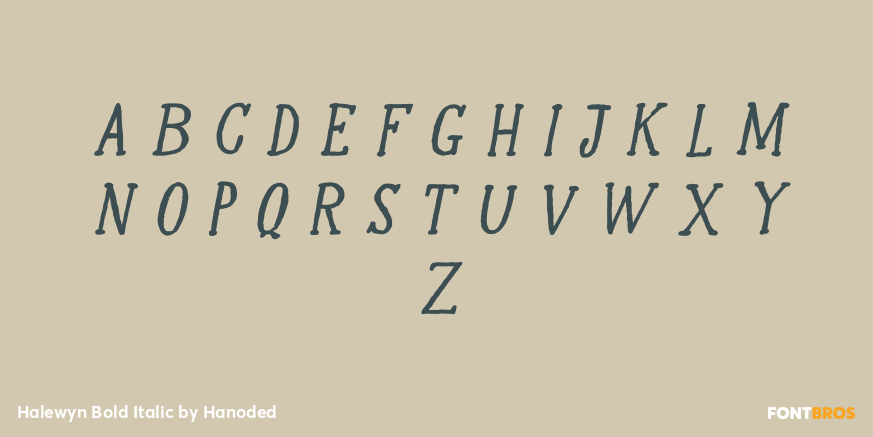 Halewyn Bold Italic Font Poster #1