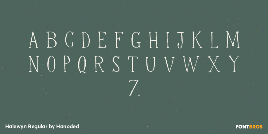 Halewyn Regular Font Poster #2