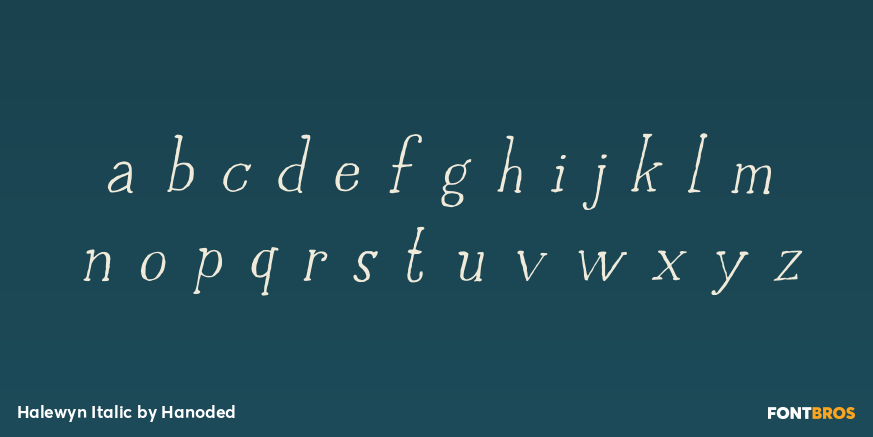 Halewyn Italic Font Poster #3