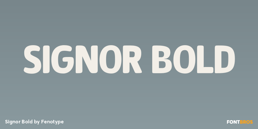 Signor Bold Font Poster #1