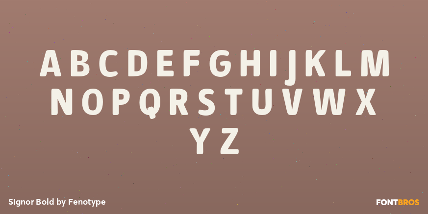 Signor Bold Font Poster #2