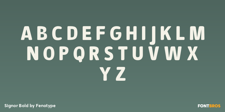 Signor Bold Font Poster #3