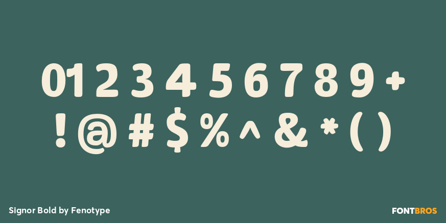 Signor Bold Font Poster #4