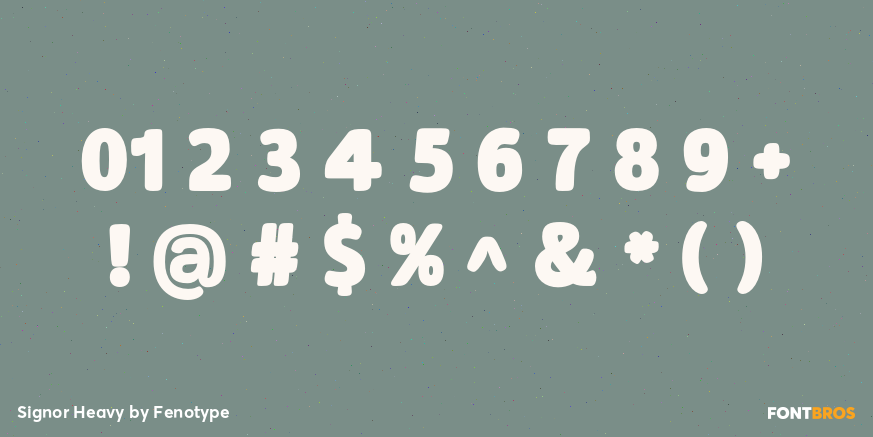 Signor Heavy Font Poster #4