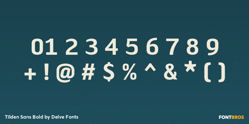 Tilden Sans Bold Font Poster #1