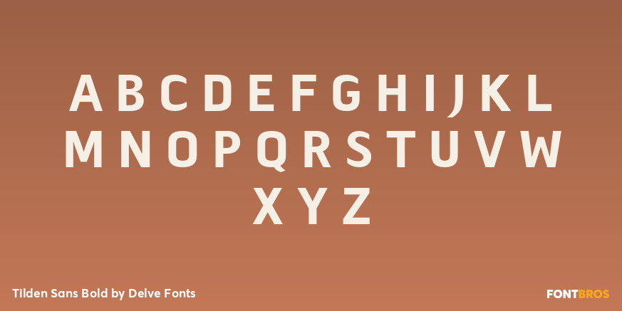 Tilden Sans Bold Font Poster #1