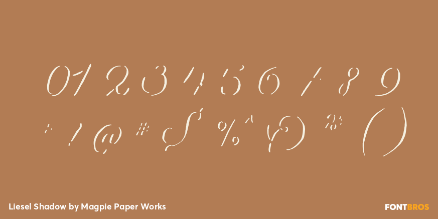 Liesel Shadow Font Poster #1