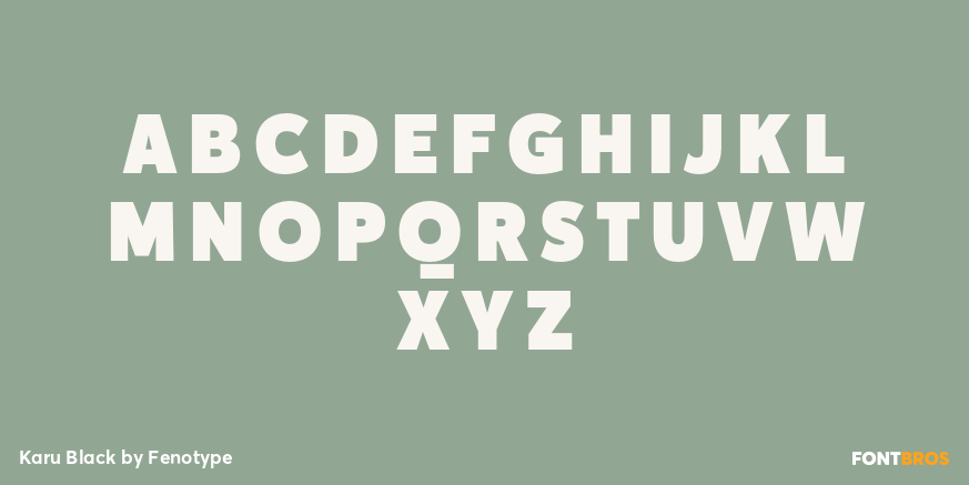 Karu Black Font Poster #2