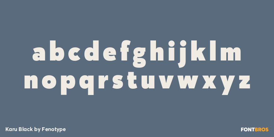 Karu Black Font Poster #3