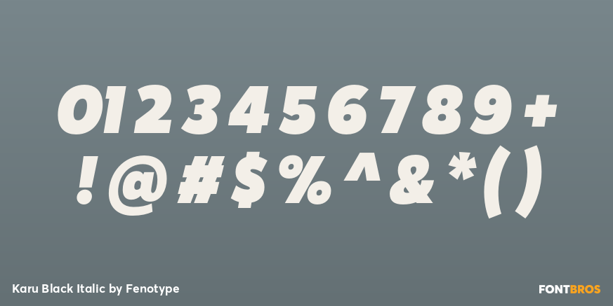 Karu Black Italic Font Poster #4