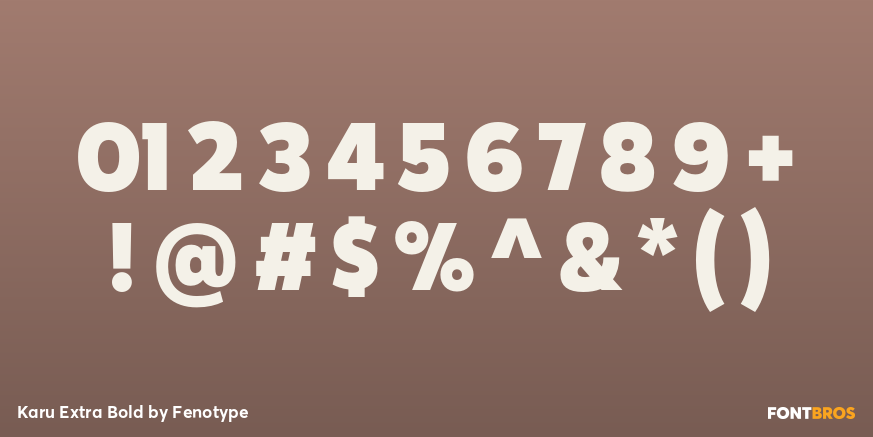 Karu Extra Bold Font Poster #4