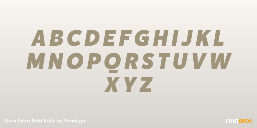 Karu Extra Bold Italic Font Poster #2
