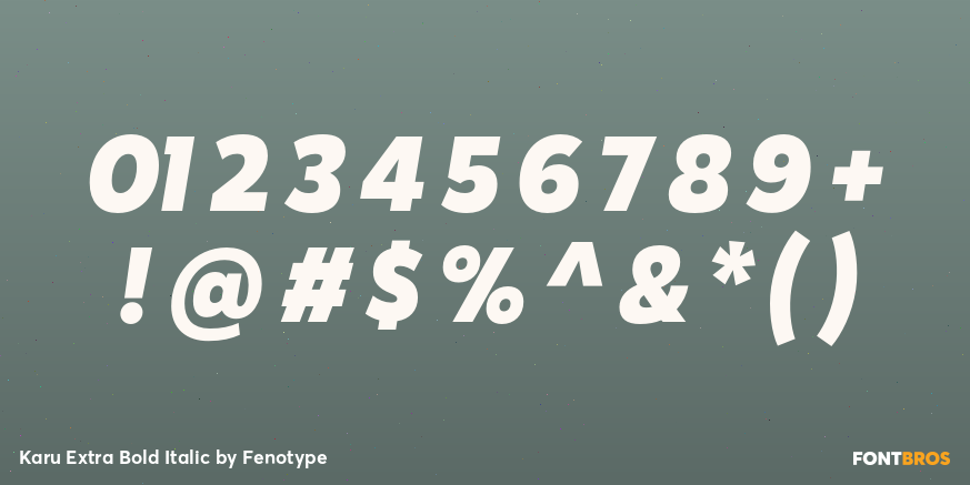 Karu Extra Bold Italic Font Poster #4