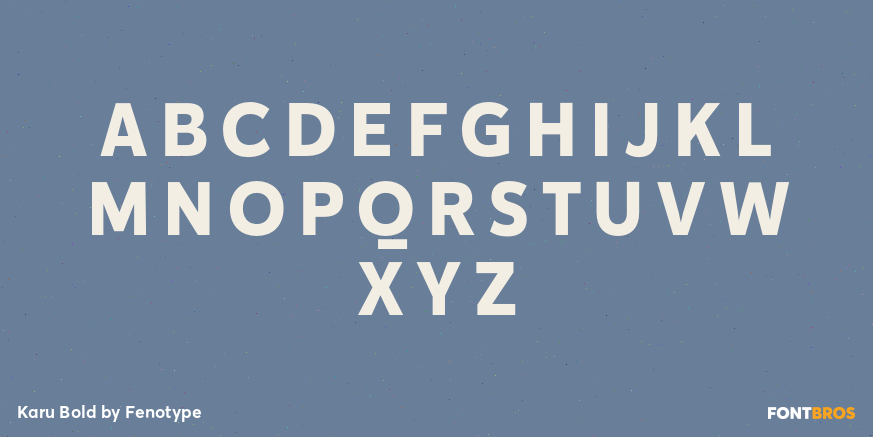 Karu Bold Font Poster #2