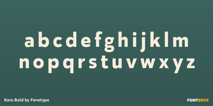 Karu Bold Font Poster #3