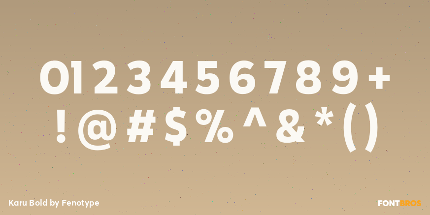 Karu Bold Font Poster #4