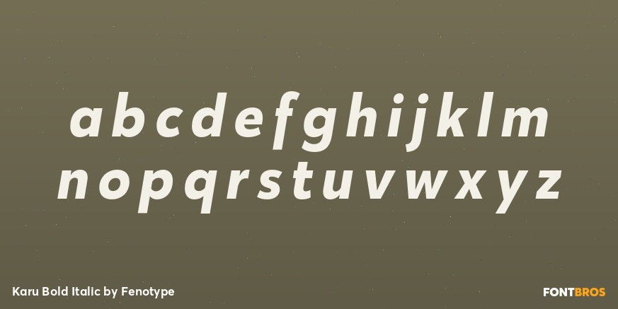 Karu Bold Italic Font Poster #3