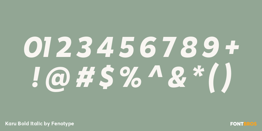 Karu Bold Italic Font Poster #4